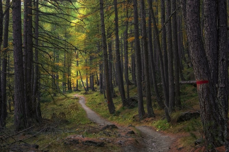 Trail Experiences