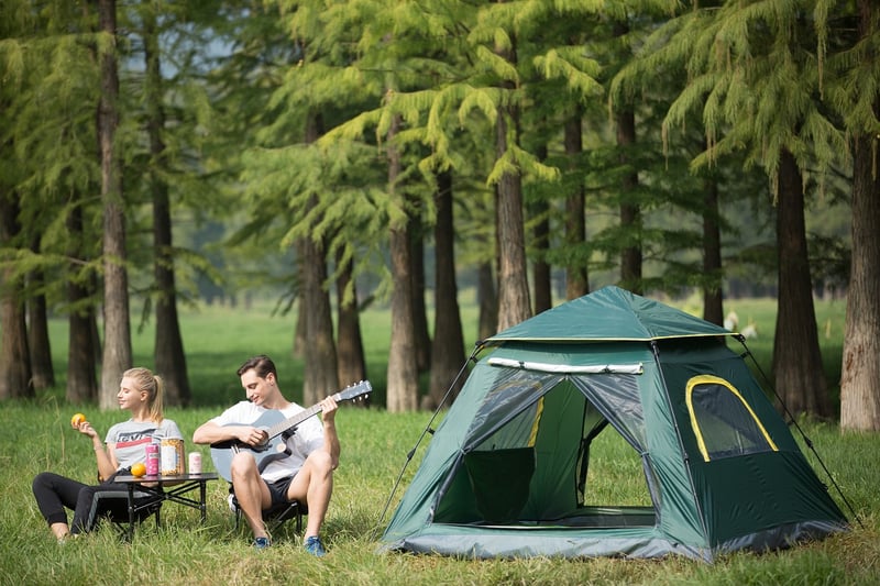 Camping Stove